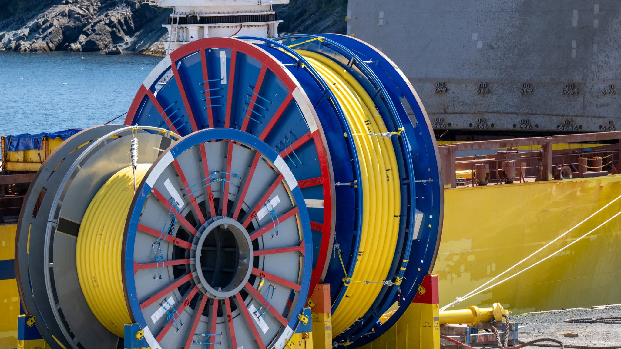 Merikaapelirullia satamassa. (Kuva: Dolores Harvey, AdobeStock)