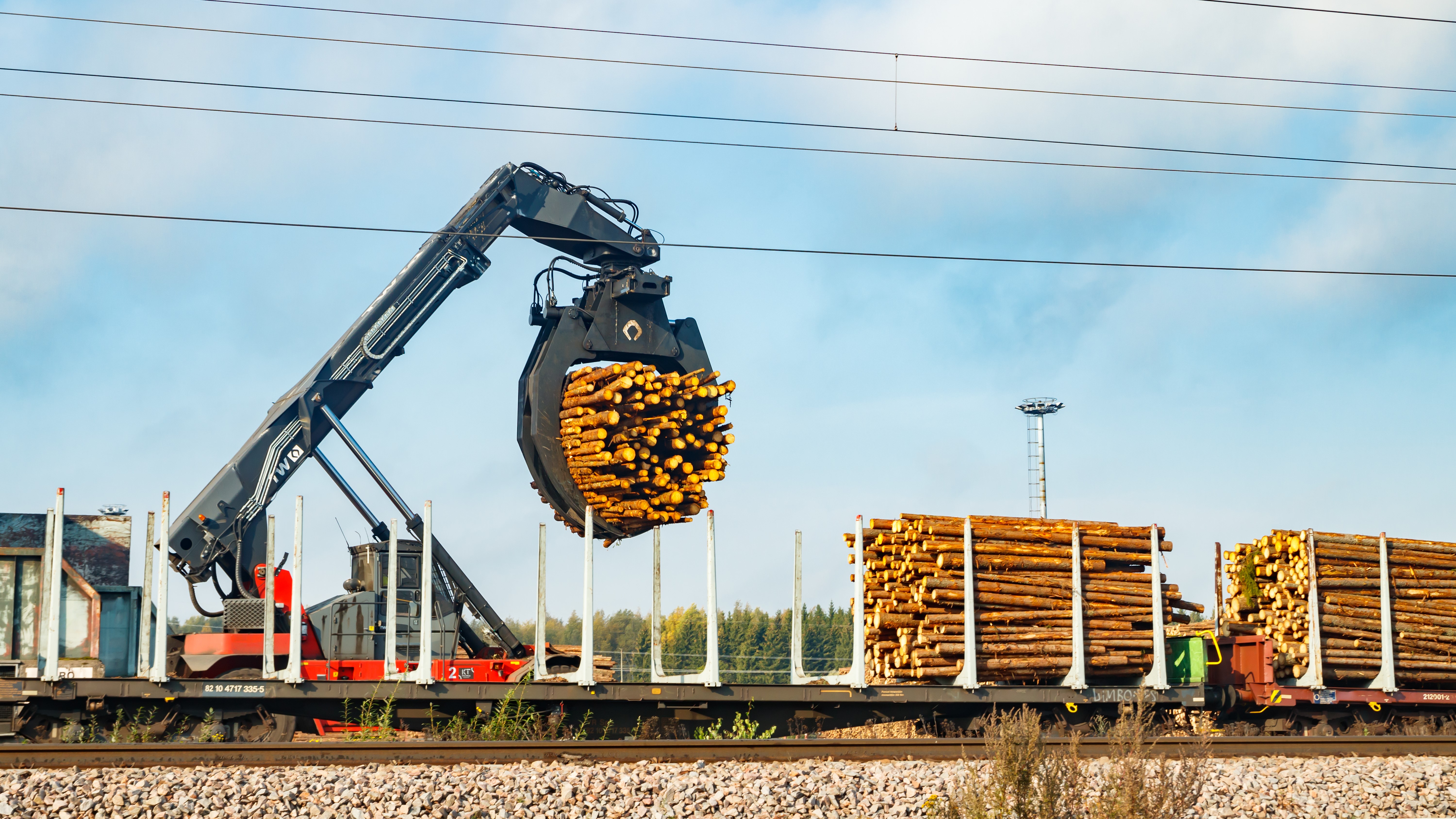 Photo: Elena Noeva, Shutterstock