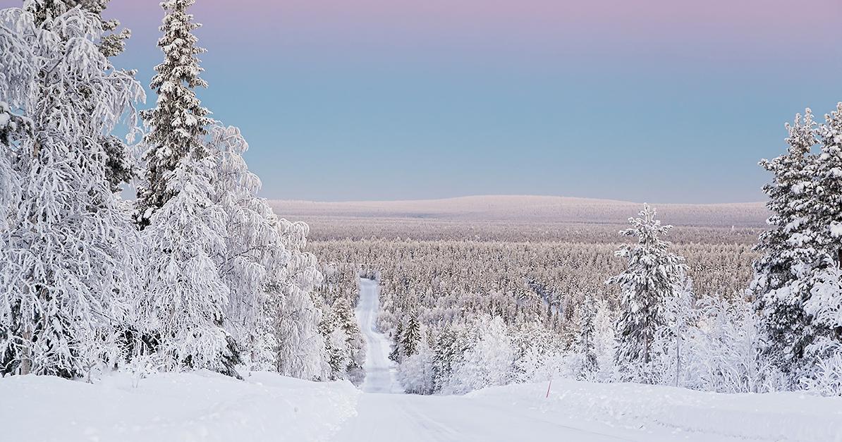 Talvinen maisema Lapista (Kuva: Shutterstock)