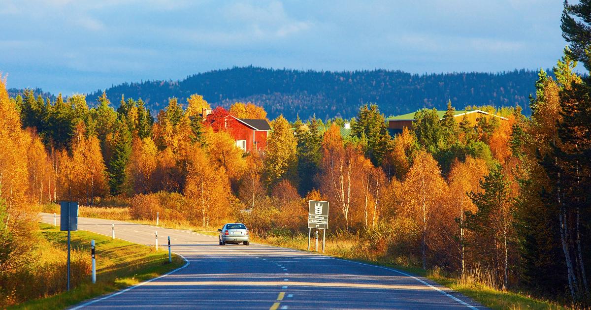 Syksyinen tie Lapissa (Kuva: Shutterstock)