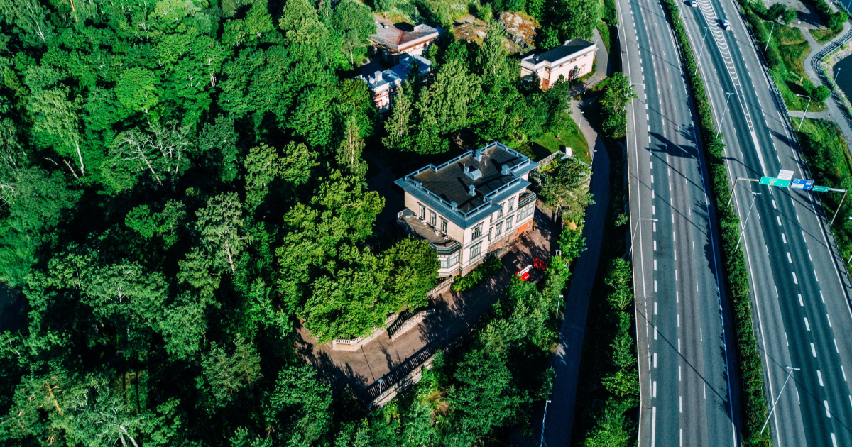 Road and forest (Photo: Shutterstock)