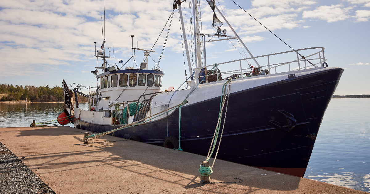 (Bild: Teemu Tretjakov / Shutterstock)