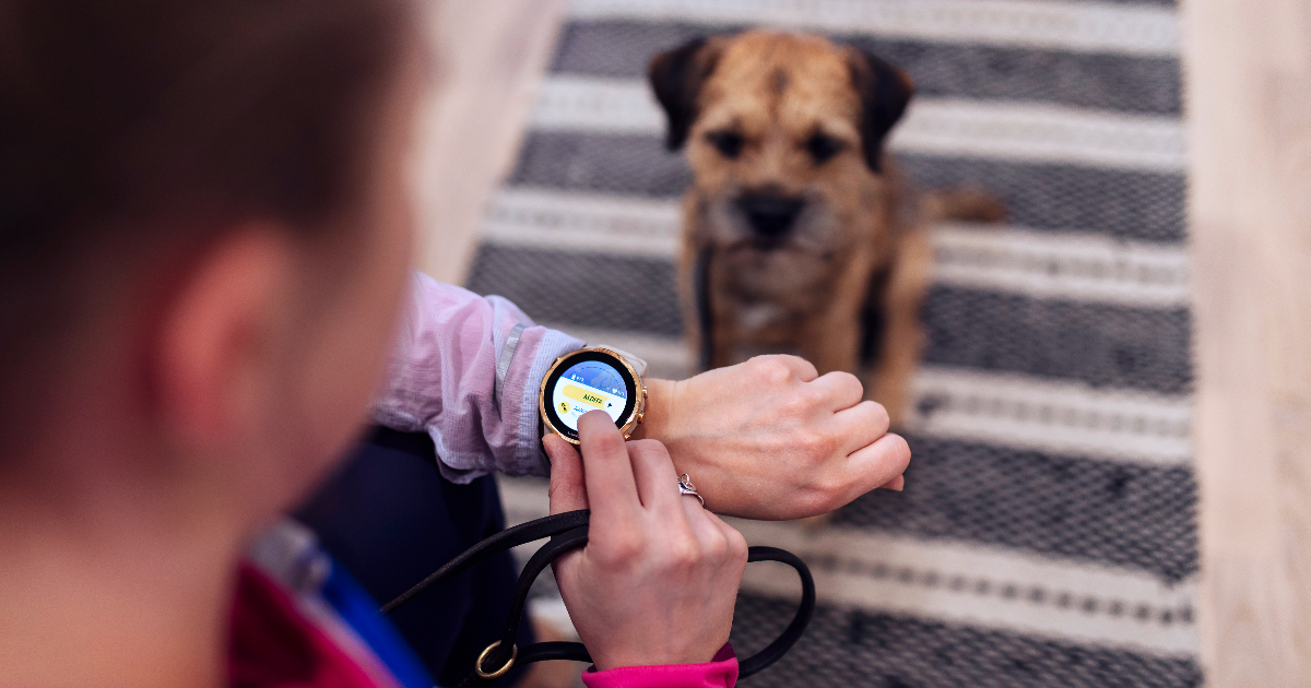 The dog walker looks at a smartwatch (Photo: LVM).
