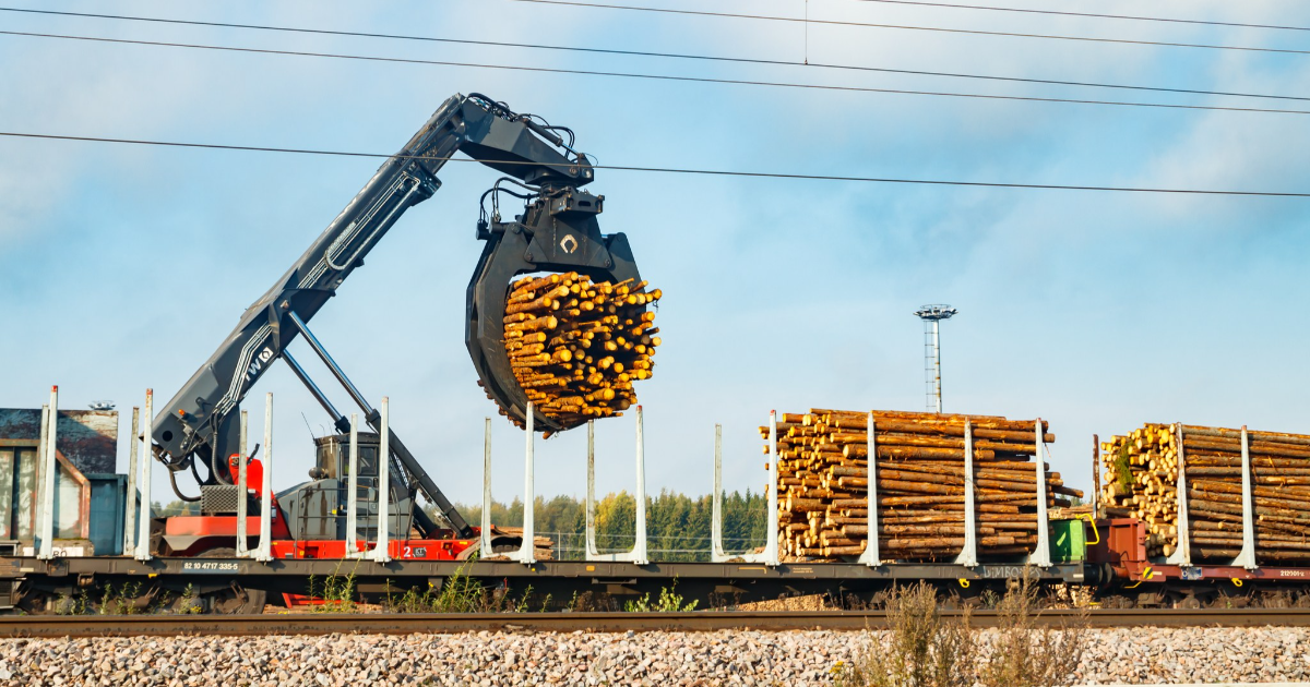 Timber transport train (Photo: Elena Noeva/Shutterstock)