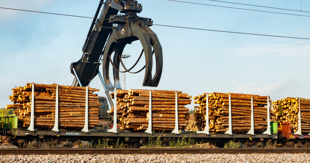 Puuta puretaan junasta Kouvolassa. (Kuva: Elena Noeva, Shutterstock)