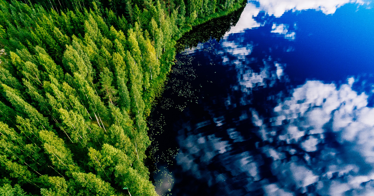 A lake and a forest in an aerial photograph. (Picture: Shutterstock)