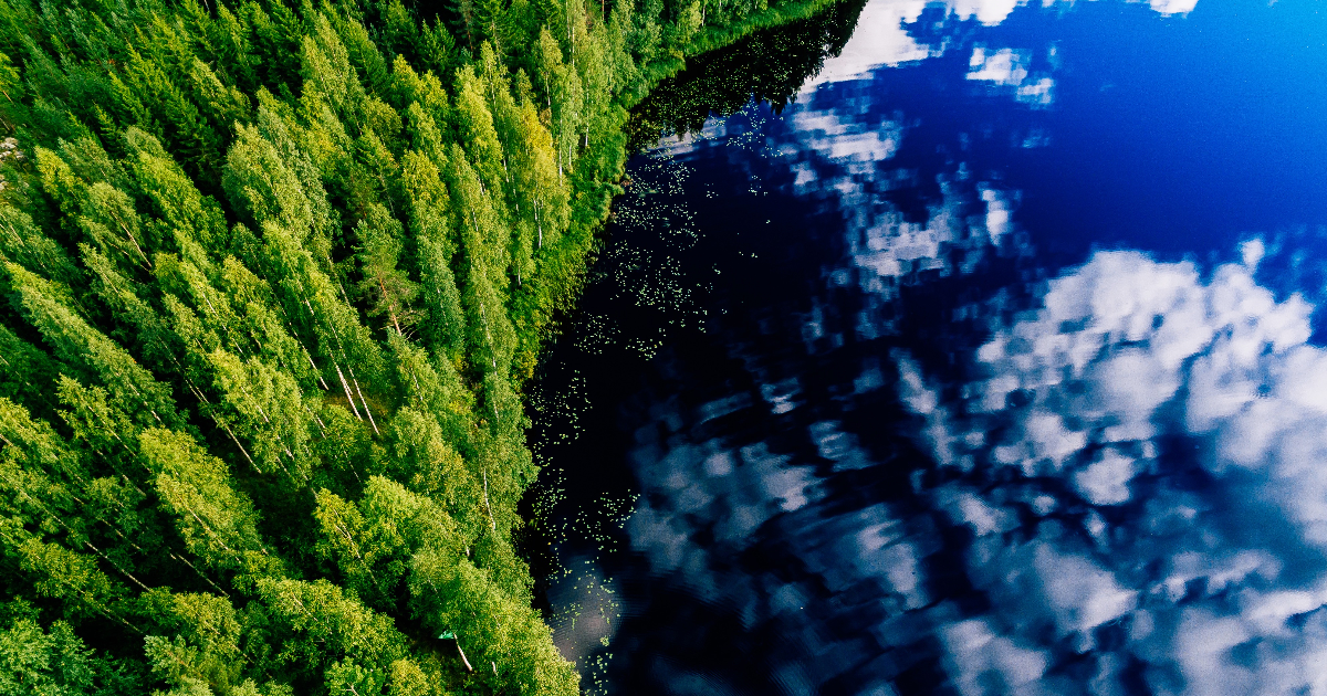 Sjö och skog i flygbild. (Bild: Shutterstock)