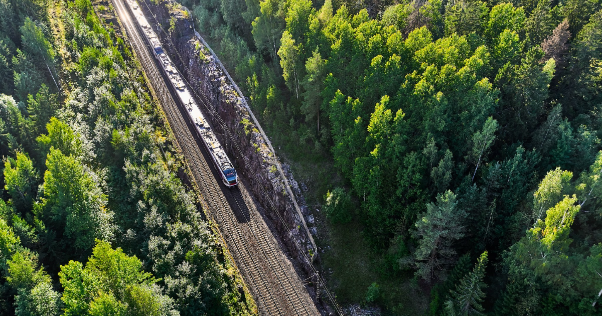 Juna metsän keskellä. (Kuva: Shutterstock)