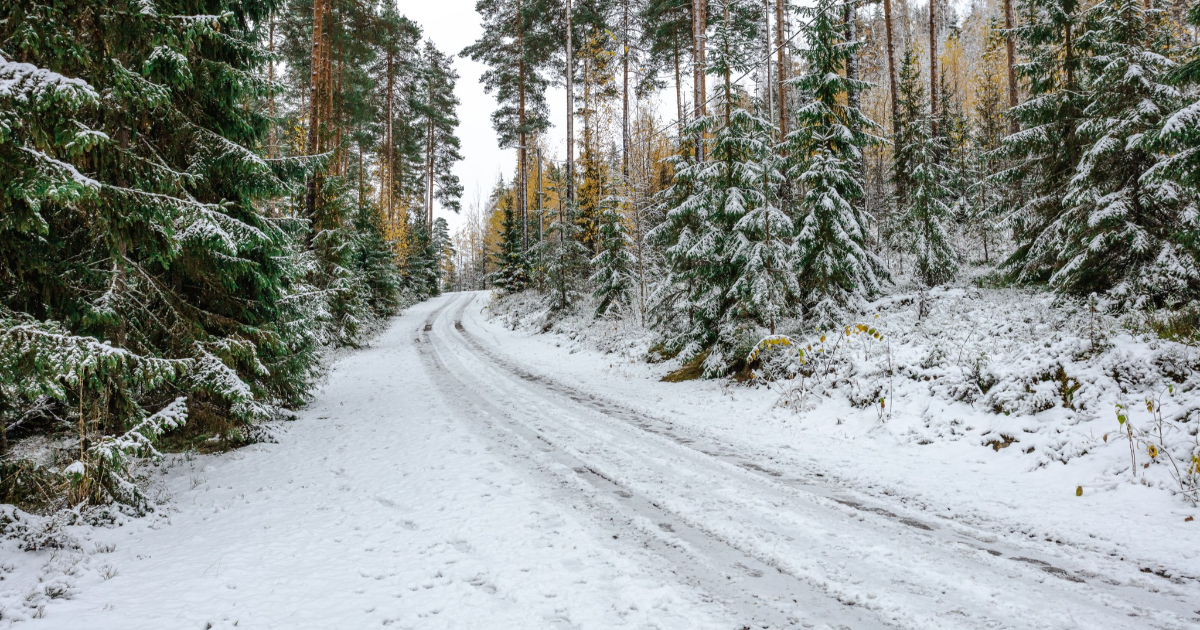 Talvinen metsätie Asikkalassa (Kuva: Shutterstock)