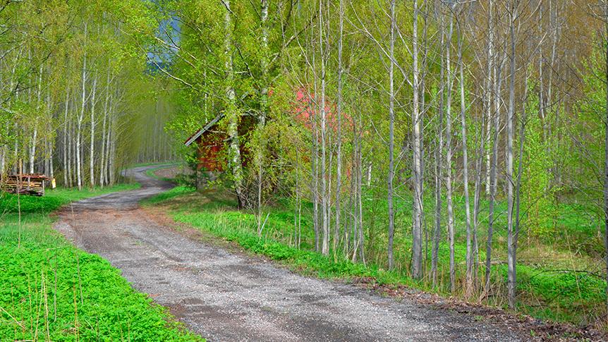 A private road and a house (Photo: LVM)