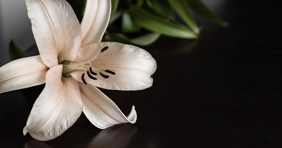 Stock photo. Condolences following the death of Russian State Secretary Sergey Aristov. (Photo: Shutterstock)