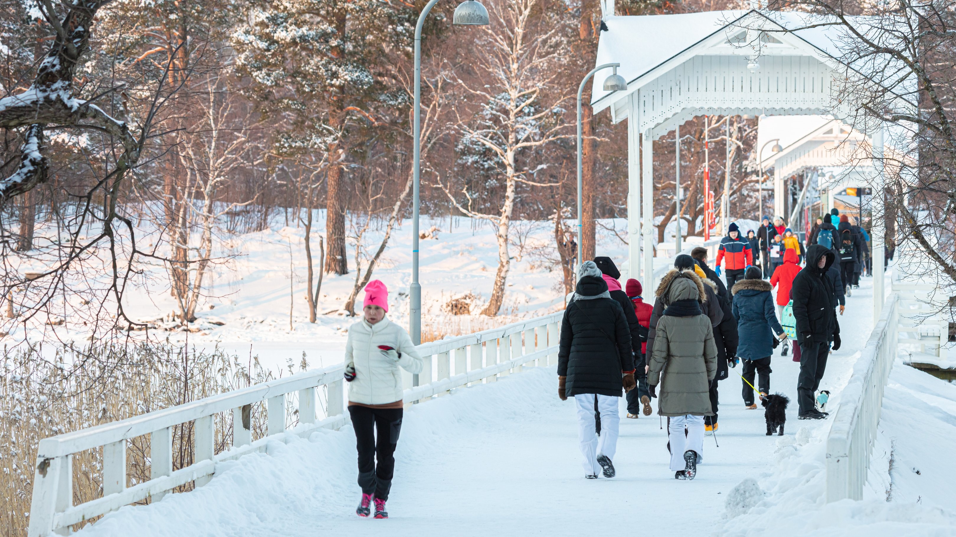 Ulkoilijoita Seurasaaren sillalla talvella 2021 (Kuva: Marina Vassileva, Shutterstock / LVM)