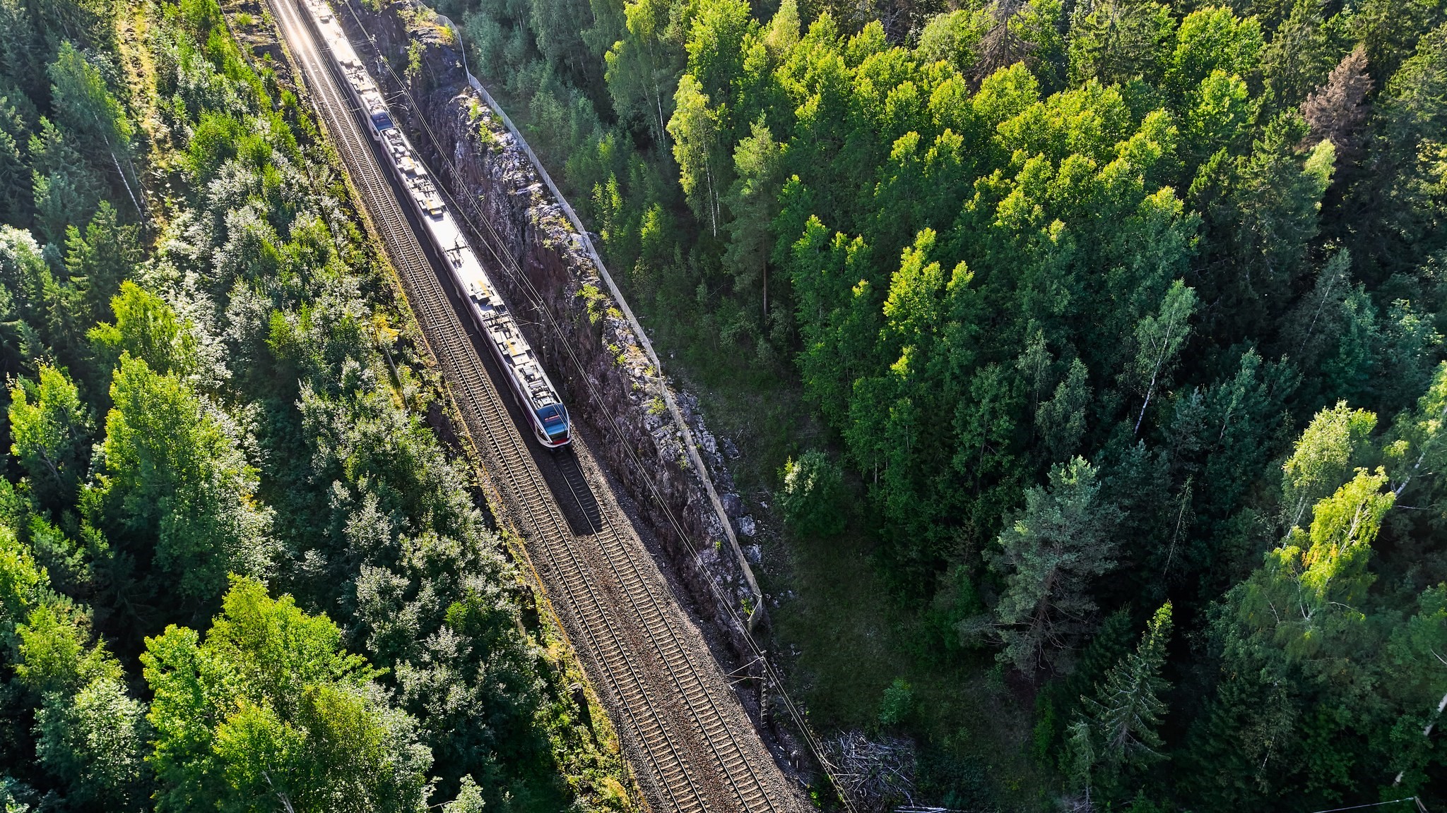 Ett tåg och skog på en flygbild (Bild: Shutterstock/LVM)