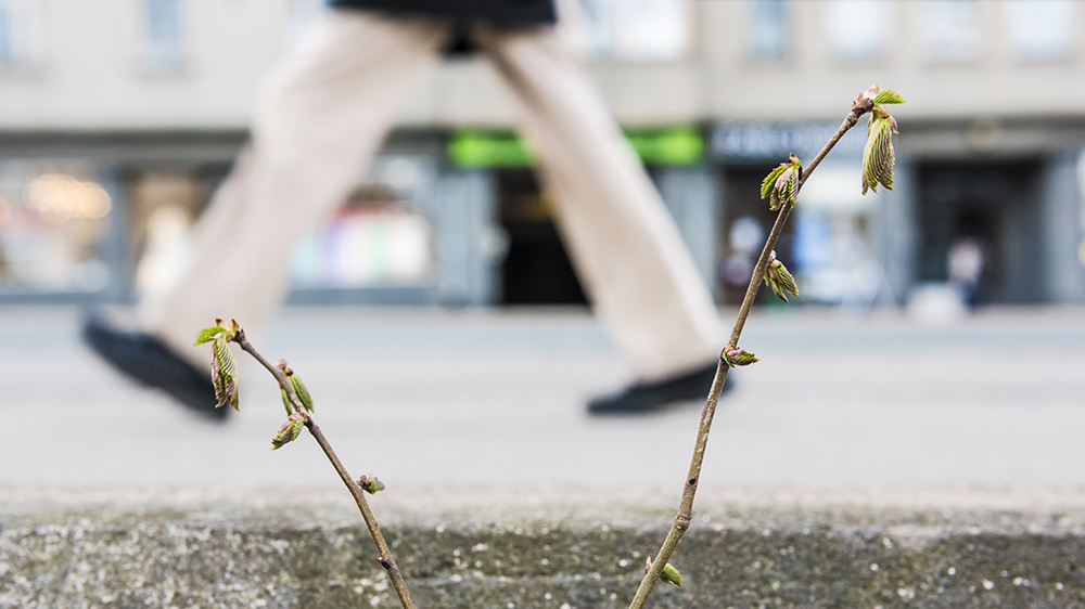 Bild: miljöministeriet